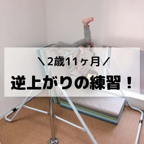 BUTW2302(1)