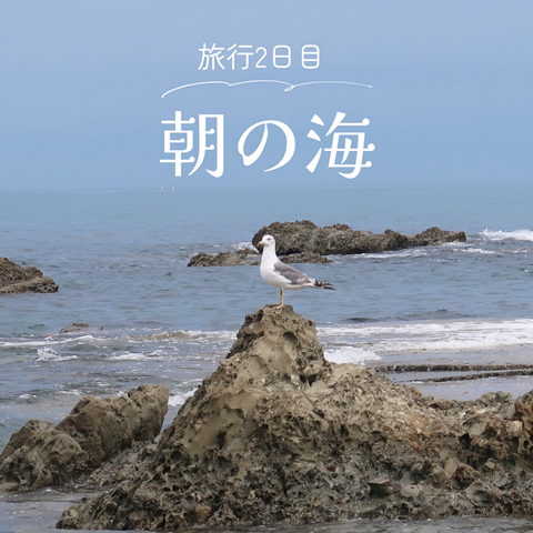 海