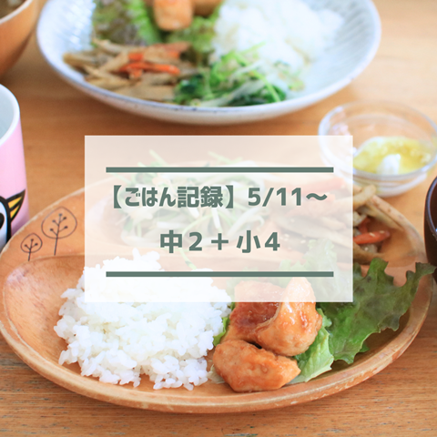 ごはん記録 (2)
