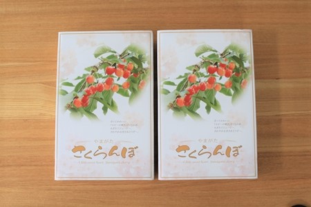 IMG_3969(1)