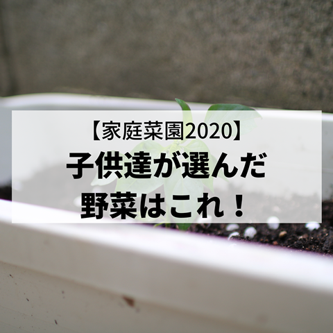 JDFW6834