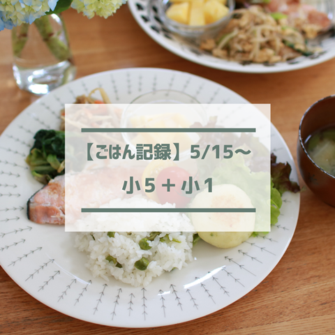 ごはん記録 (2)