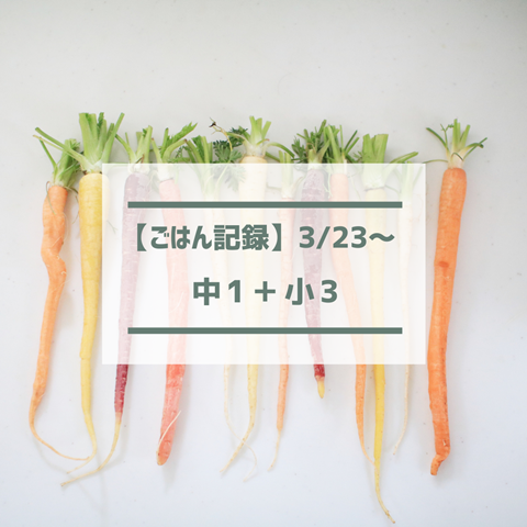 ごはん記録 (1)