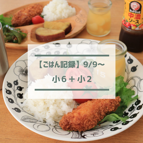 ごはん記録 (1)