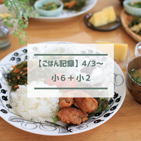ごはん記録 (20)