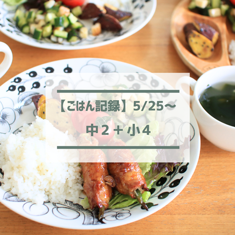 ごはん記録 (1)