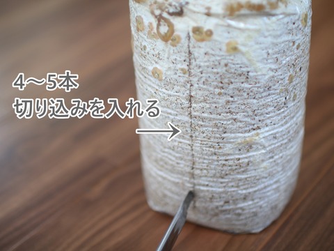 IMG_2748(1)