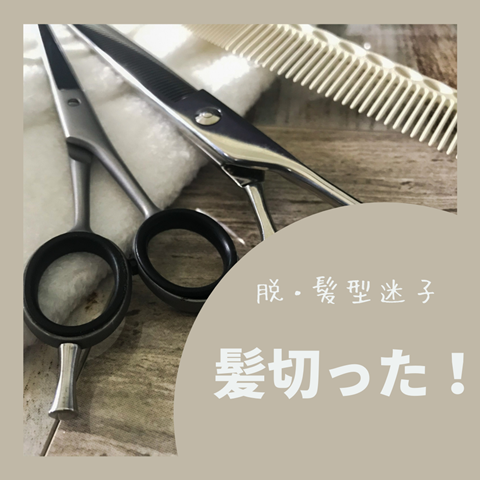 ドライカット