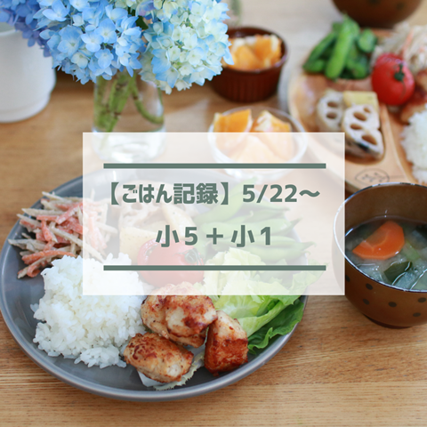 ごはん記録 (3)