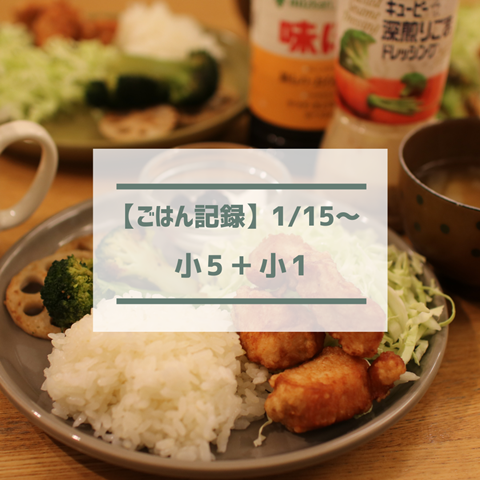 ごはん記録 (14)