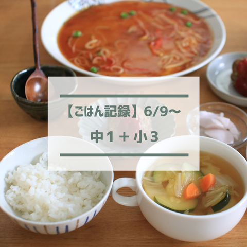 ごはん記録 (1)