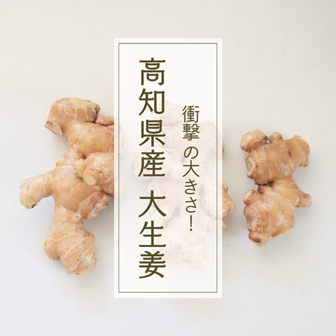 生姜