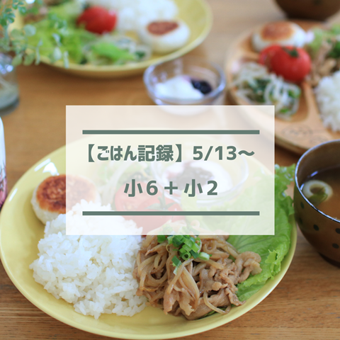 ごはん記録 (26)