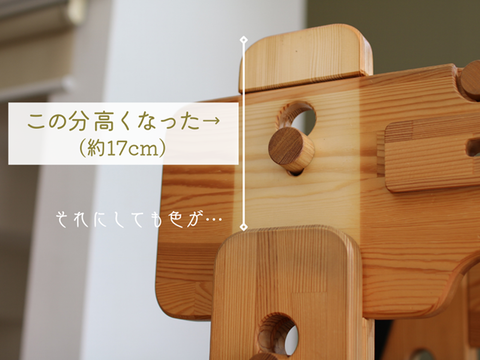 うんてい