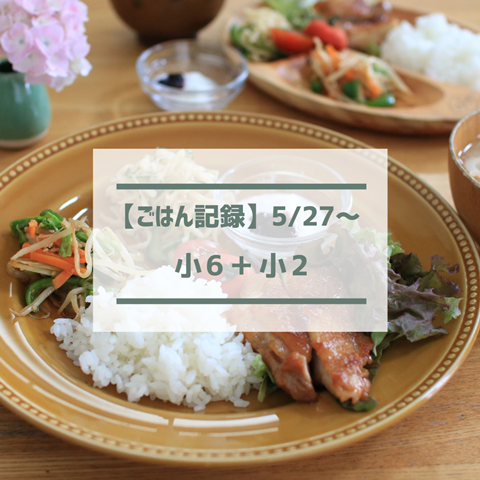 ごはん記録 (28)