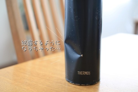 フリー