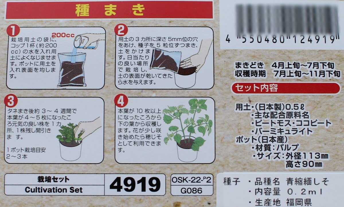 ダイソー 一応収穫できたけど 栽培ポット の青しそは収穫できなかった えりゐのｅｖｅｒｙ ｄｉａｒｙ Powered By ライブドアブログ