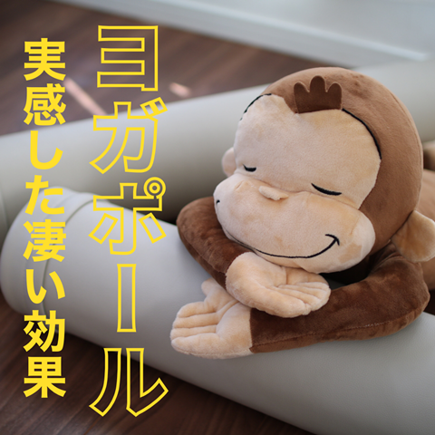 肩こりに効果を実感 頭痛薬を飲む回数も劇的に減った ヨガポール えりゐのevery diary Powered By ライブドアブログ 肩こりに効果を実感 頭痛薬を飲む回数も劇的に減った ヨガポール えりゐのevery diary Powered By ライブドアブログ