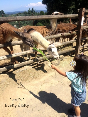 群馬サファリパーク