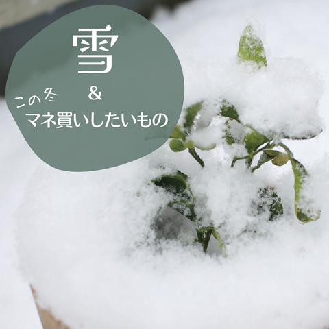 雪 (1)