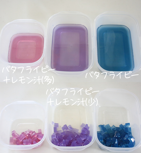 フリー