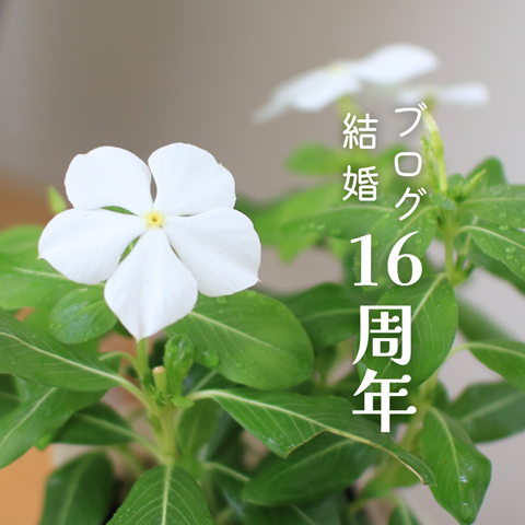 結婚記念日