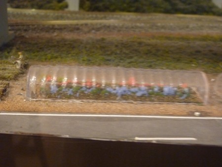 P1090009