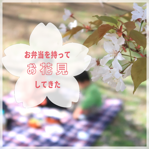 花見(1)
