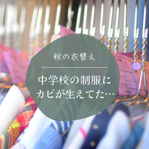 クリーニング