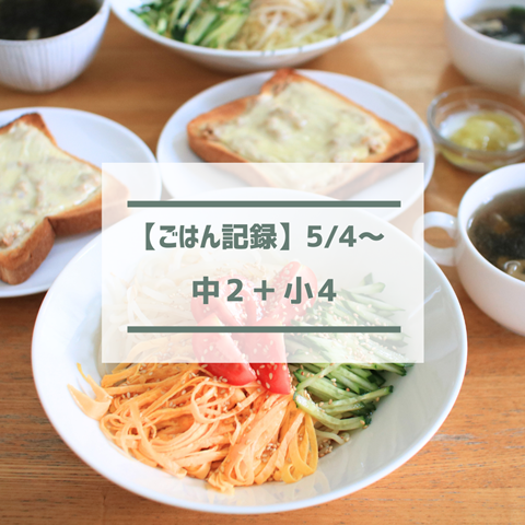 ごはん記録 (1)