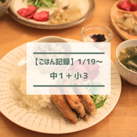 ごはん記録 (1)