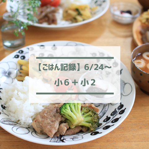 ごはん記録 (2)