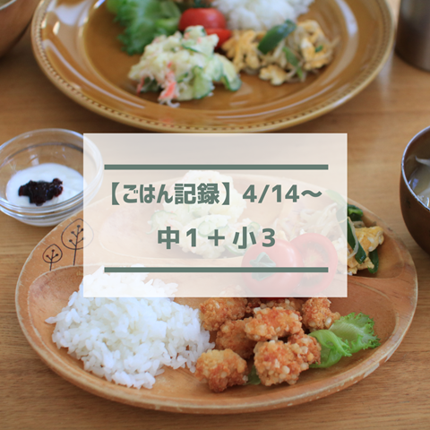 ごはん記録 (1)