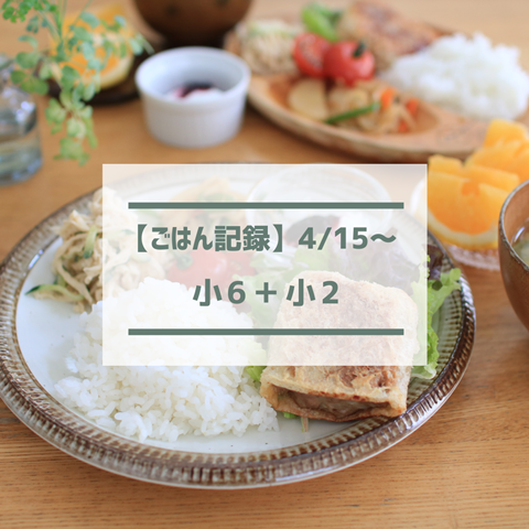 ごはん記録 (21)