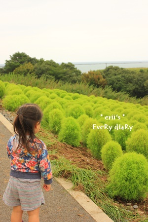 海浜公園