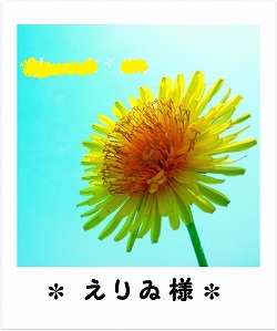 たんぽぽ