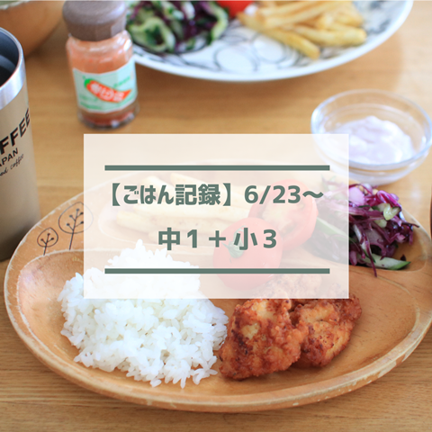 ごはん記録 (1)