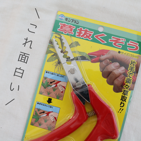 \これ面白い/