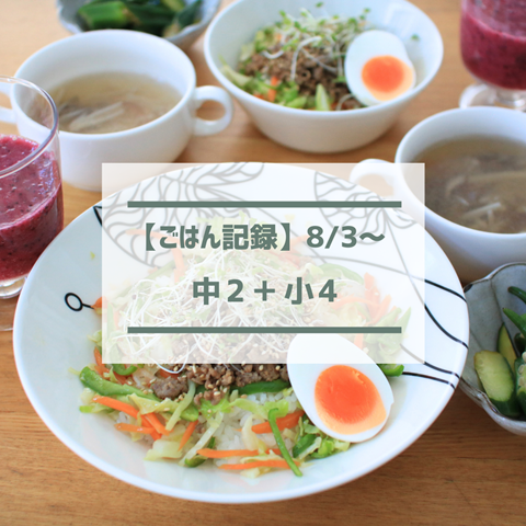 ごはん記録 (1)