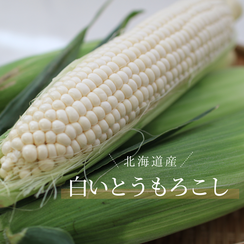 とうもろこし