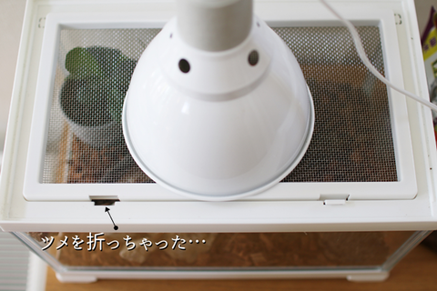 フリー (28)