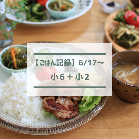 ごはん記録 (1)