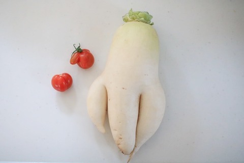 IMG_0687