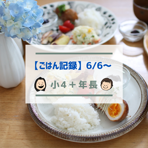 ごはん記録のコピー (6)