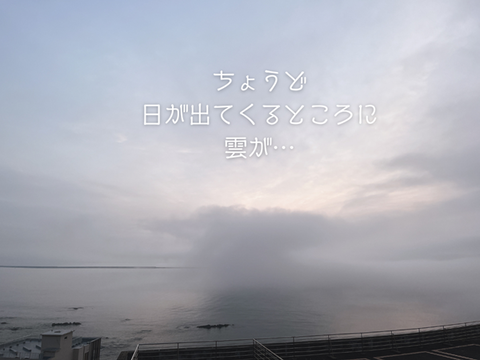 フリー