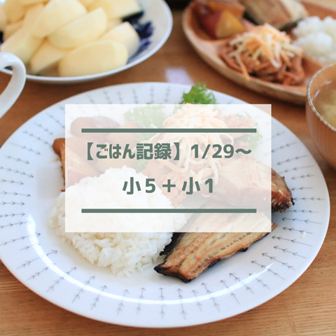 ごはん記録 (16)