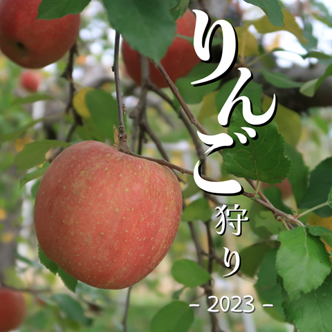 りんご狩り