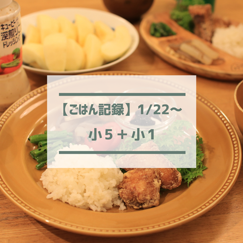 ごはん記録 (15)