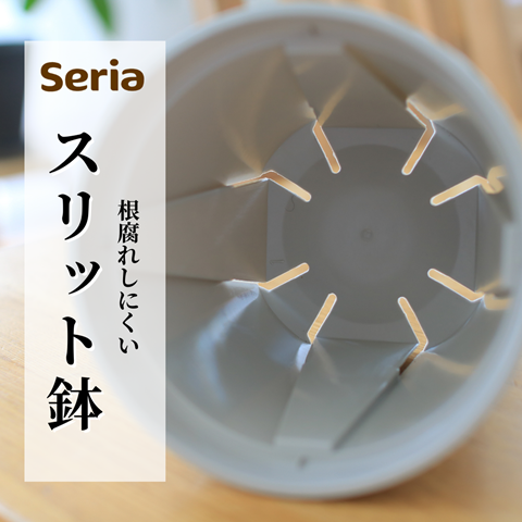 セリア (1)