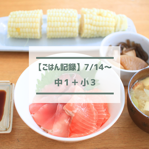 ごはん記録 (1)
